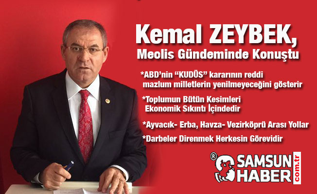 Kemal Zeybek,Merkezi yönetim bütçesinde çeşitli konuları dile getirdi