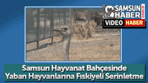 Samsun Hayvanat Bahçesinde Sıcağa Fıskiyeli Çözüm Video
