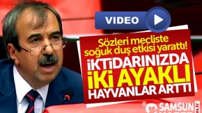 CHP Samsun Milletvekili Hayati Tekin: İki ayaklı hayvanlar arttı