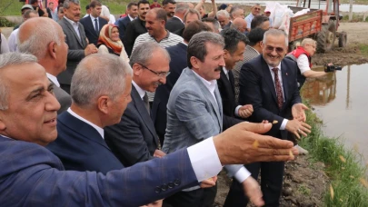 Bafra'da Çeltik Ekimi Şölenle Başladı: Türkiye Lideri, Geleceğe Umutla Bakıyor!