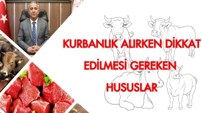 Kurban Bayramı Yaklaşırken Önemli Uyarılar: Sağlıklı Kurbanlık Seçimi ve Kesim Kuralları!