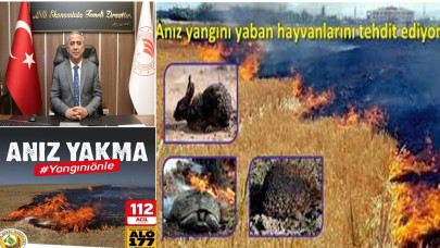 Samsun İl Tarım Müdürü’nden Anız Yakma Uyarısı: Cezalar Artırıldı
