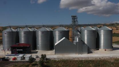 Havza'daki Dev Silolar Tam Kapasite Doldu