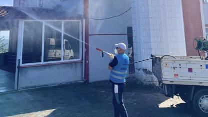 Tekkeköy'de Kahverengi Kokarca Böceğiyle Mücadele: "Kararlılıkla Sürecek"