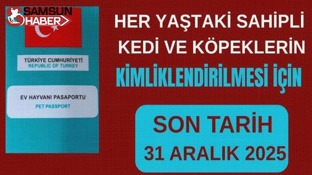 Alaçam&#039;da Evcil Hayvanlar İçin Kimlik Zorunluluğu: Son Tarih 31 Aralık