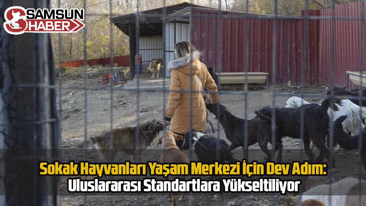 İlkadım Sokak Hayvanları Yaşam Merkezi İçin Dev Adım