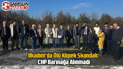 İlkadım'da Ölü Köpek Skandalı: CHP Barınağa Alınmadı