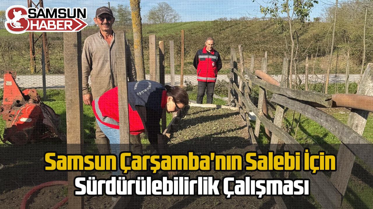 Samsun Çarşamba'nın Salebi İçin Sürdürülebilirlik Çalışması