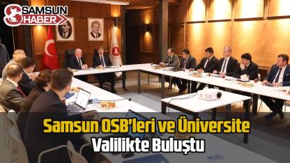 Samsun OSB'leri ve Üniversite Valilikte Buluştu
