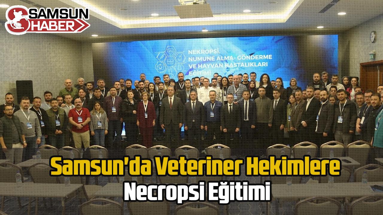 Samsun&#039;da 8 İlin Veteriner Hekimleri Eğitimde Buluştu