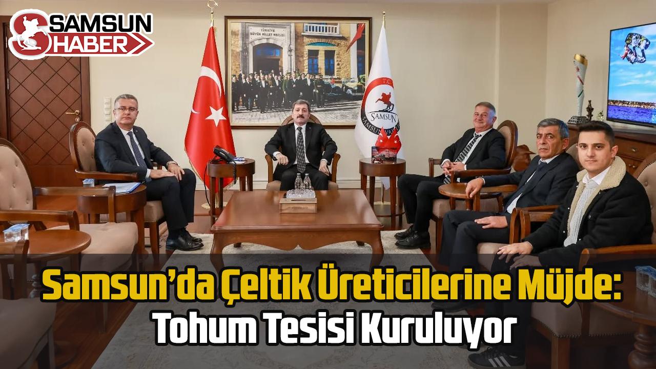 Samsun&#039;da Çeltik Üreticilerine Müjde: Tohum Tesisi Kuruluyor