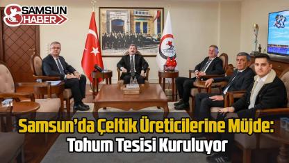 Samsun'da Çeltik Üreticilerine Müjde: Tohum Tesisi Kuruluyor