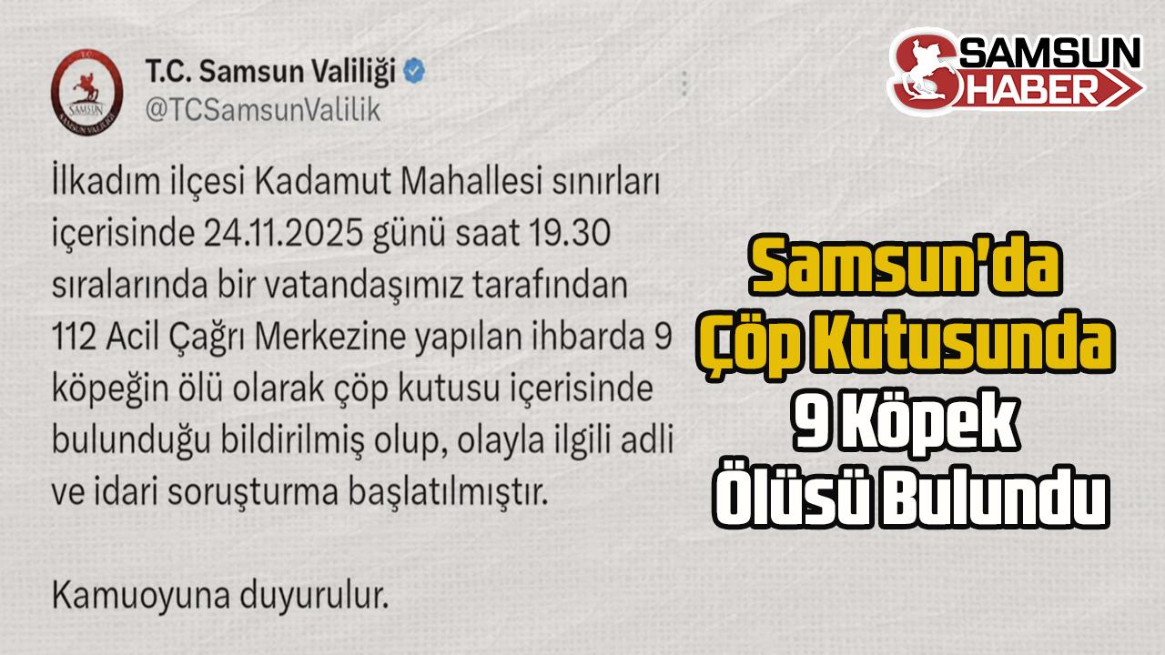 Samsun&#039;da Çöp Kutusunda 9 Köpek Ölüsü Bulundu