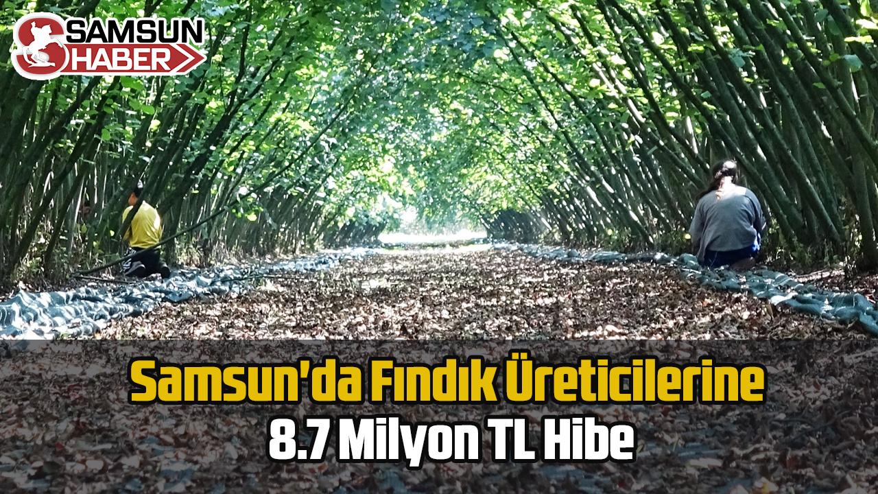 Samsun&#039;da Fındık Üreticilerine 8.7 Milyon TL Hibe