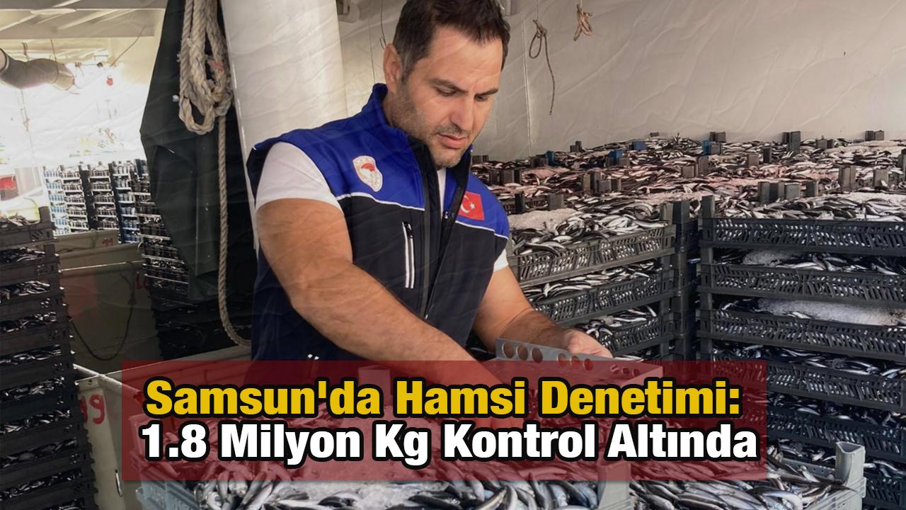 Samsun'da Hamsi Denetimi: 1.8 Milyon Kg Kontrol Altında