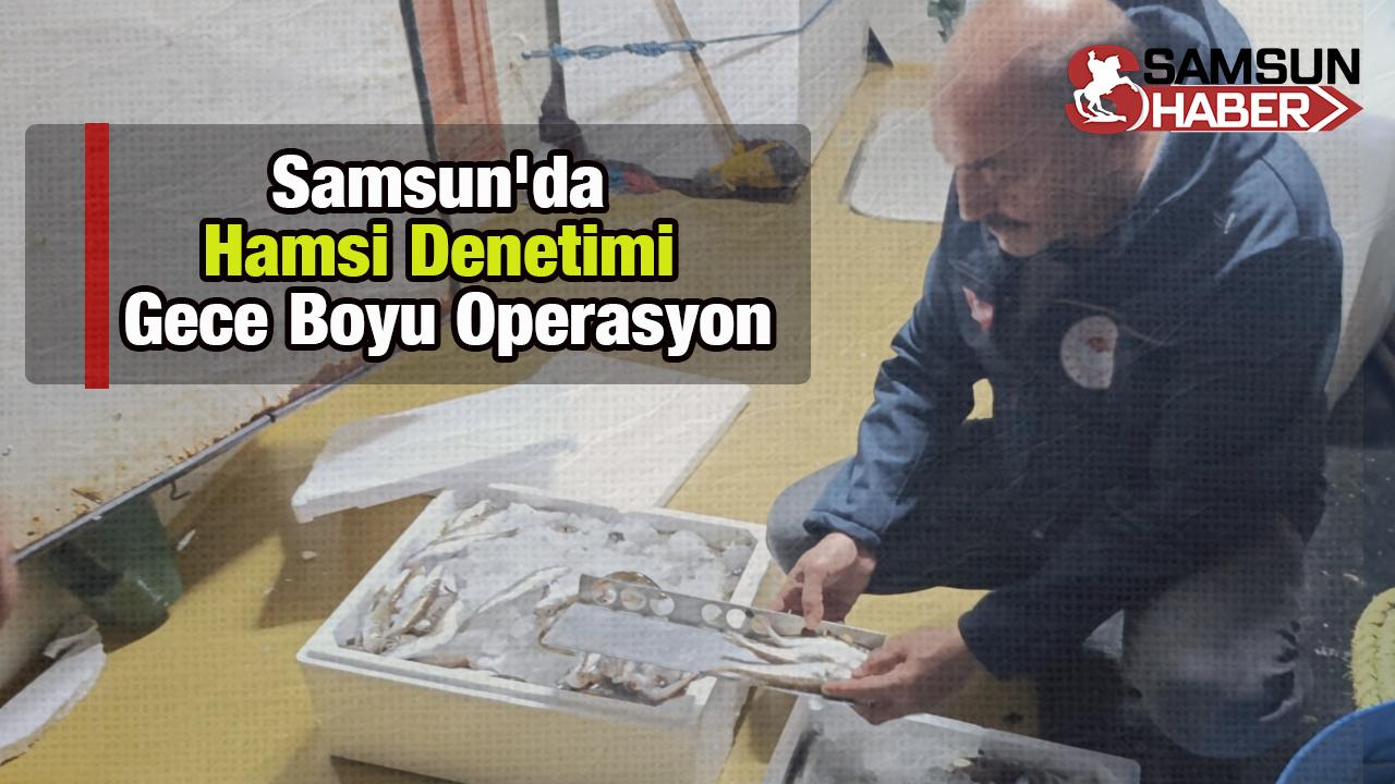 Samsun&#039;da Hamsi Denetimi: Gece Boyu Operasyon