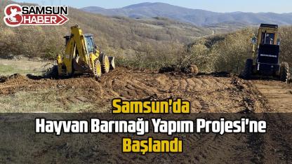 Samsun'da Hayvan Barınağı Yapım Projesi'ne Başlandı