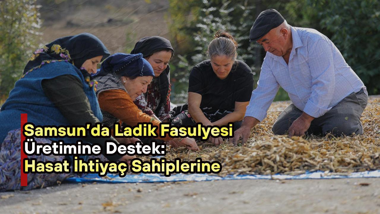 Samsun’da Ladik Fasulyesi Üretimine Destek: Hasat İhtiyaç Sahiplerine