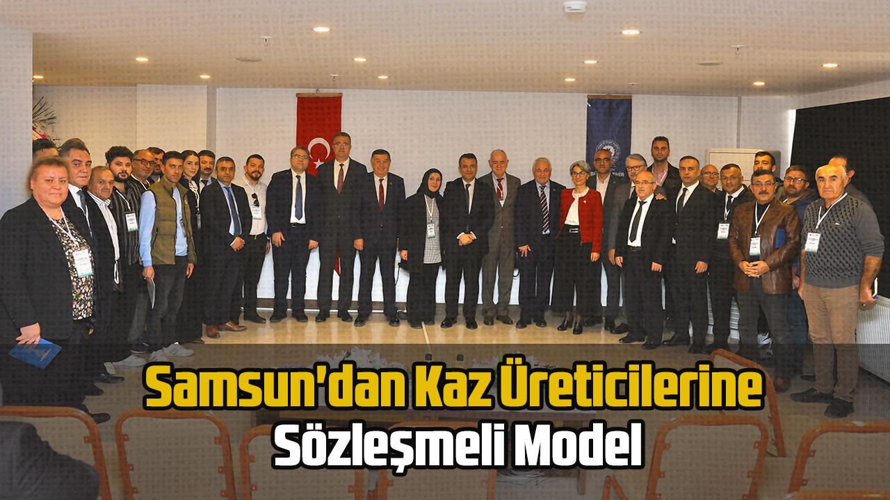 Samsun'dan Kaz Üreticilerine Sözleşmeli Model Uygulanacak