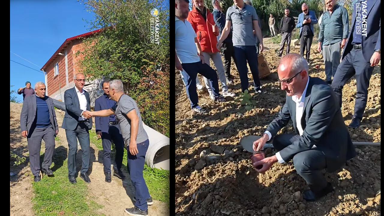 Yakakent&#039;e Sağlıklı Yatırım, Aronya Meyvesi Toprakla Buluştu