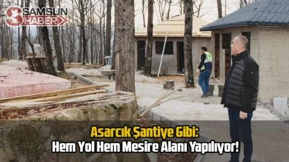 Asarcık Şantiye Gibi: Hem Yol Hem Mesire Alanı Yapılıyor!