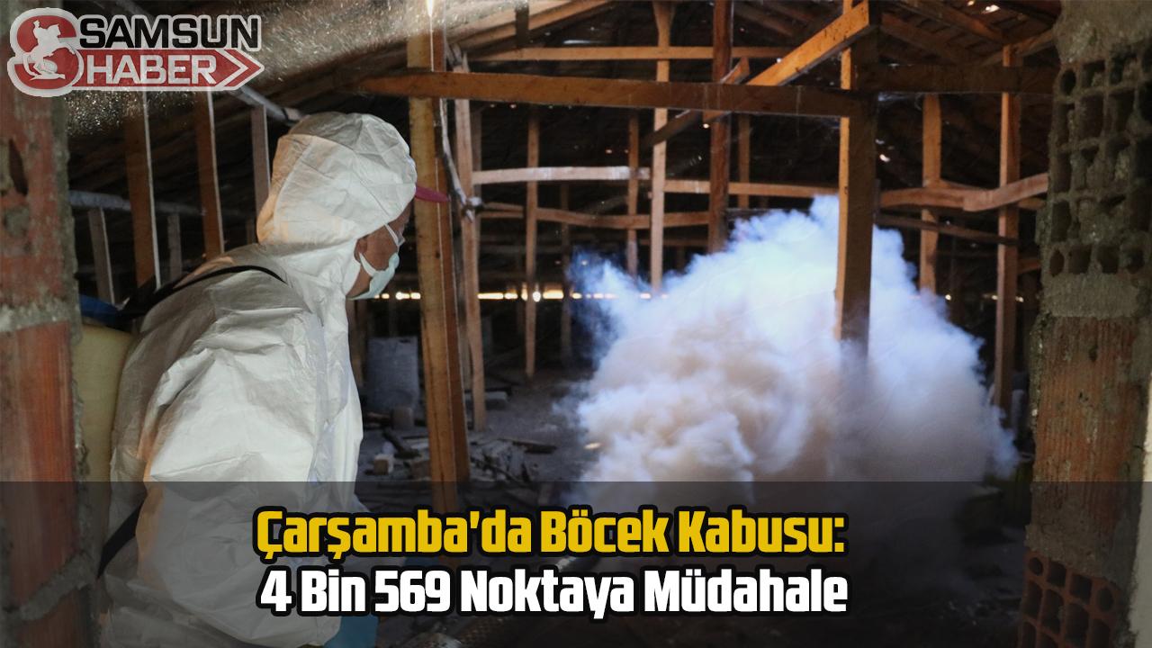 Çarşamba'da Böcek Kabusu: 4 Bin 569 Noktaya Müdahale