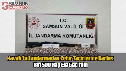 Kavak'ta Jandarmadan Zehir Tacirlerine Darbe: Bin 500 Hap Ele Geçirildi