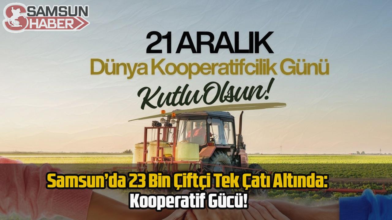 Samsun’da 23 Bin Çiftçi Tek Çatı Altında: Kooperatif Gücü!