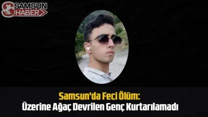 Samsun'da Feci Ölüm: Üzerine Ağaç Devrilen Genç Kurtarılamadı