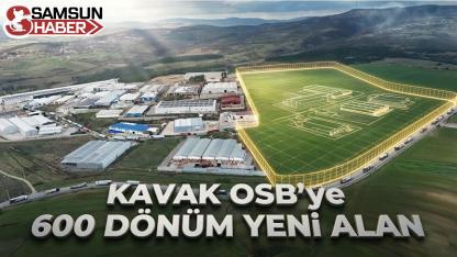 Samsun'un Üretim Üssü Kavak OSB: 600 Dönüm Yeni Alan Geliyor