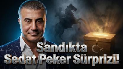 Türkiye Siyasetinde Sedat Peker Sürprizi Olur mu?
