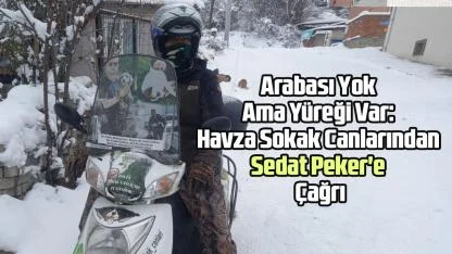 Arabası Yok Ama Yüreği Var: Havza Sokak Canlarından Sedat Peker'e Çağrı