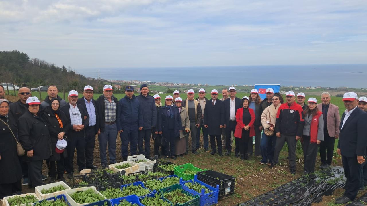 YAKAKENT’TE AK ZAMBAK YETİŞTİRİCİLİĞİ TANITILDI