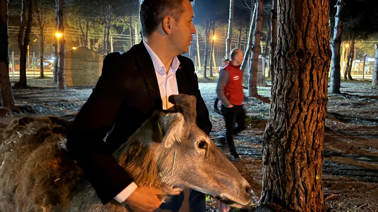 Otomatik Taslak